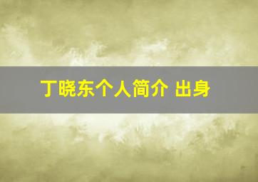 丁晓东个人简介 出身